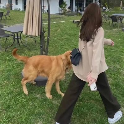 华沙女公爵